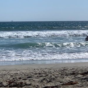 Meet your Posher, Robyn